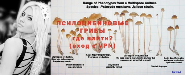 прущий лед Дмитриев