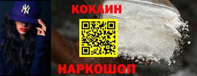 дмт Гай