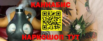 дмт Гай