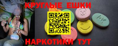 дмт Гай