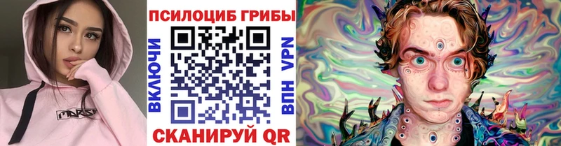 купить наркотики цена Киров Псилоцибиновые грибы мицелий