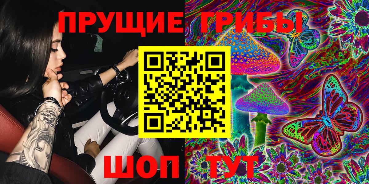 Галлюциногенные грибы Psilocybe Киров